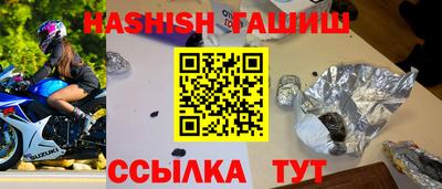 гидра Можга