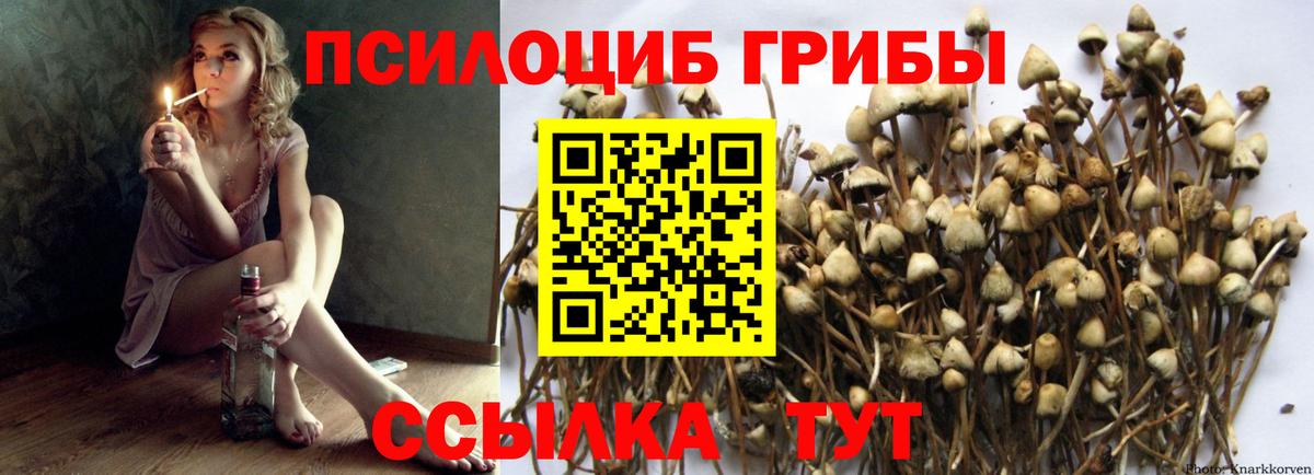 Сланцы  Галлюциногенные грибы ЛСД  Вход с VPN 
